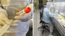 نقابة المحامين ببيروت: نتائج PCR لـ 69 محامٍ ومحامية كانوا قد ترددوا للمحكمة العسكرية أتت سلبية