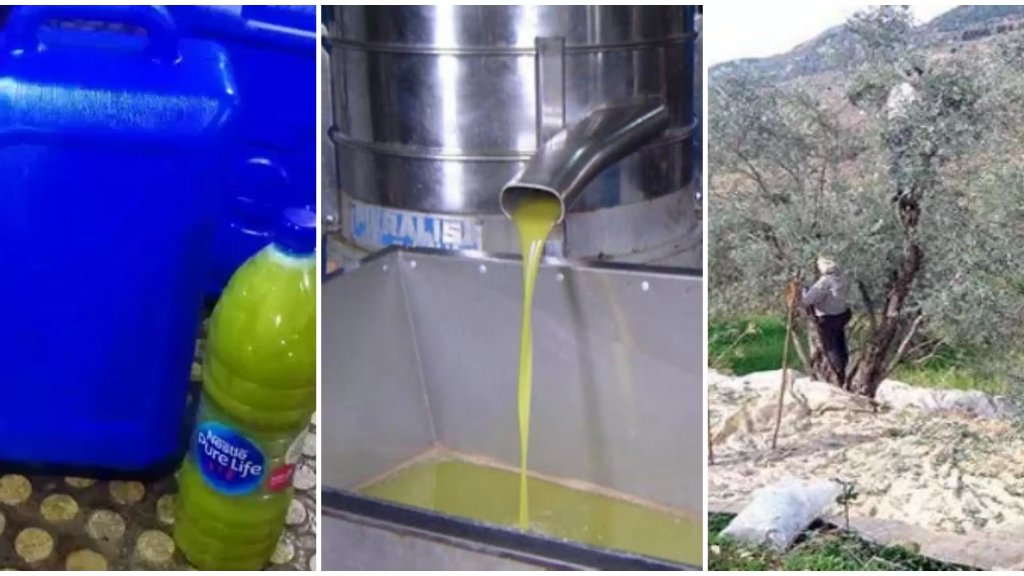 موسم زيتون غير واعد في قرى شرق صيدا وغلاء الاسعار ضاعف سعر "تنكة" الزيت.. بين 400 و600 ألف ليرة!