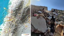 رئيس المجلس الوطني للبحوث العلمية يُطمئن: لا علاقة لزلزال تركيا بالفوالق الزلزالية الممتدة في لبنان وشرقي المتوسط