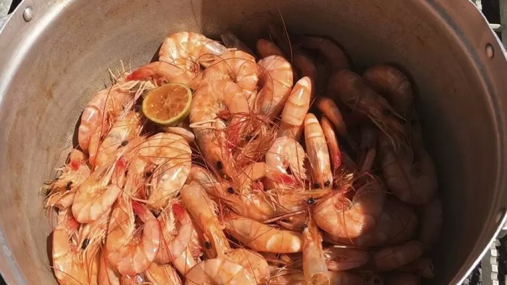 الصين ترصد وجود فيروس كورونا في شحنة روبيان مجمد من دولة عربية