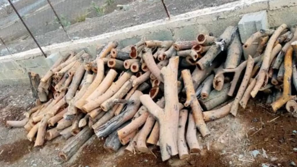 تفاصيل إطلاق النار على الحدود.. شخصان يجمعان الحطب في الجهة اللبنانية قرب السياج الفاصل يستنفران جيش الإحتلال !