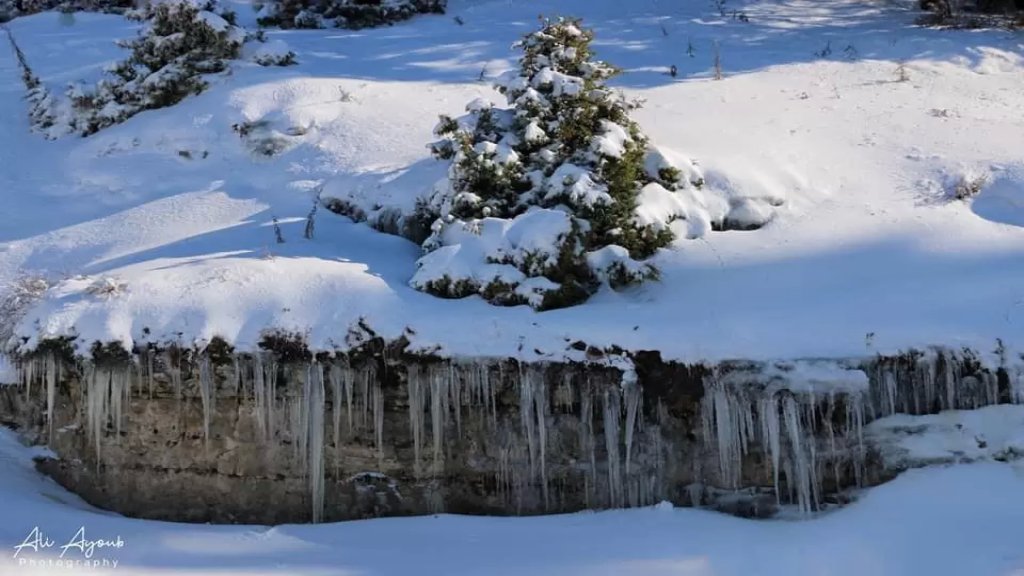 العاصفة قادمة... أمطار غزيرة ورياح شديدة وثلوج على 1200 متر!