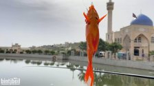 بالفيديو/ صيد سمك الزينة حيًا من بركة بنت جبيل ظاهرة جديدة بعدما باتت تتكاثر الأسماك بأعداد هائلة.. ين التسلية ورفع الضرر هواة صيد ينقلونها كي لا تسبب روائح كريهة صيفًا