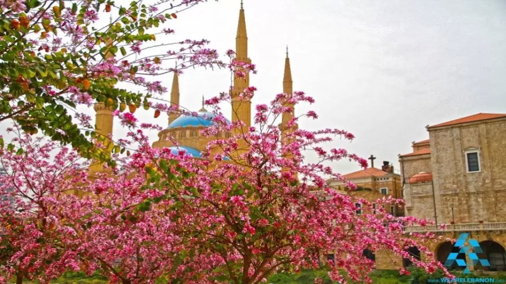 طقس ربيعي مستقر في الأيام المقبلة...مشمس والحرارة الى معدلاتها الموسمية