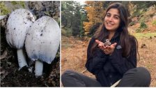 إنجاز بيئي.. موقع Mycotaxon العالمي المتخصص بالفطريات ينشر مقال للشابة اللبنانية "ساندرا"  