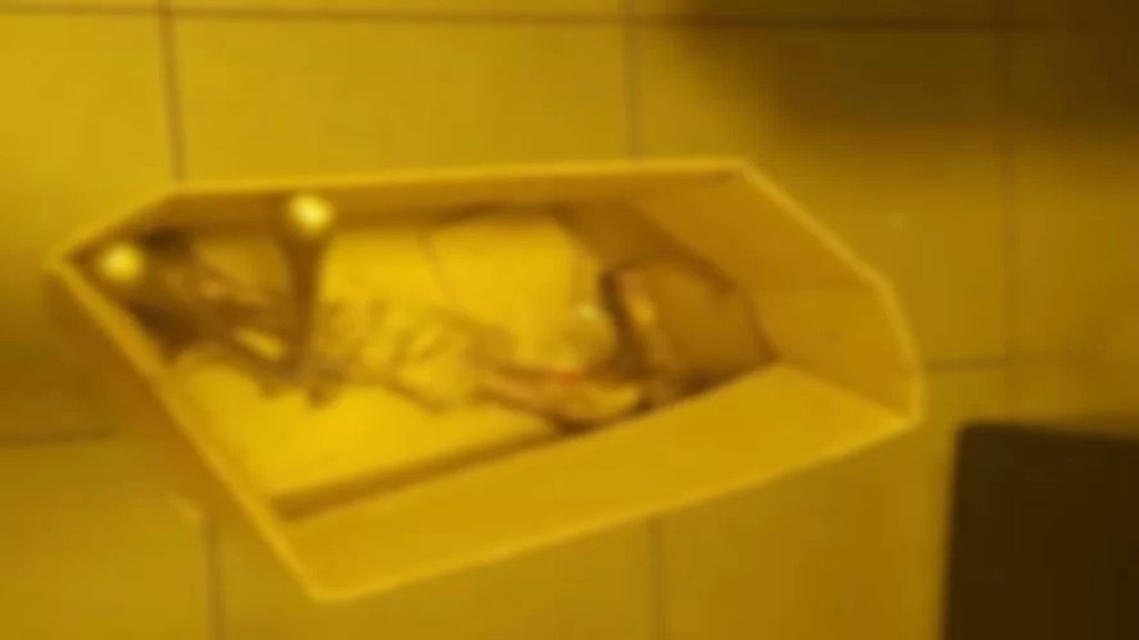 النائب العام الاستئنافي في الجنوب: "ما عثر عليه من بقايا هيكل عظمي بالقرب من مقبرة صيدا هي رجل بشرية مبتورة نتيجة عملية جراحية"