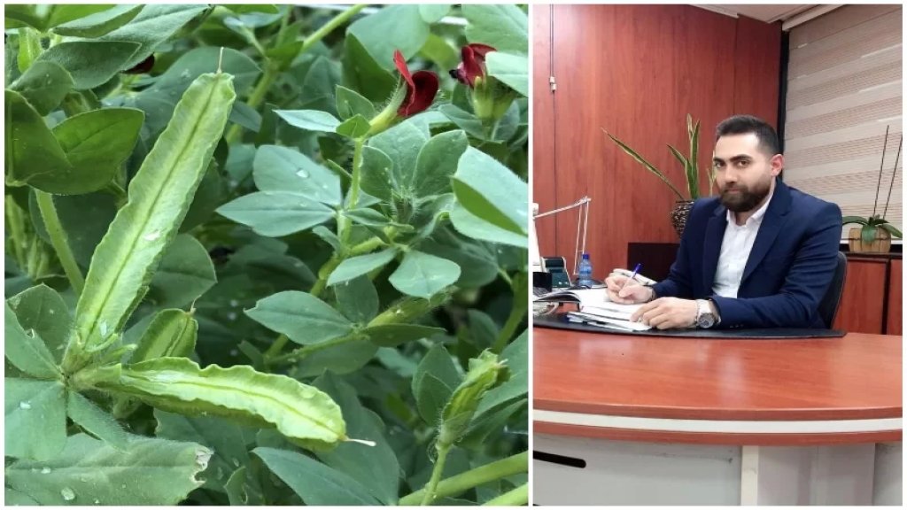 نبتة معروفة بـ "أصابع أم زينب" تصلح كبديل للأدوية المضادة للالتهابات.. ابن بلدة الصوانة الدكتور حسين بصل يسجل براءة اختراع محلية في مجال النباتات الطبية!