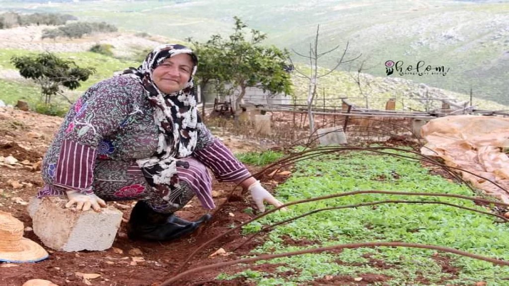 الجنوبيون يهجرون زراعة التبغ.. والتراجع يتجاوز الـ70%!