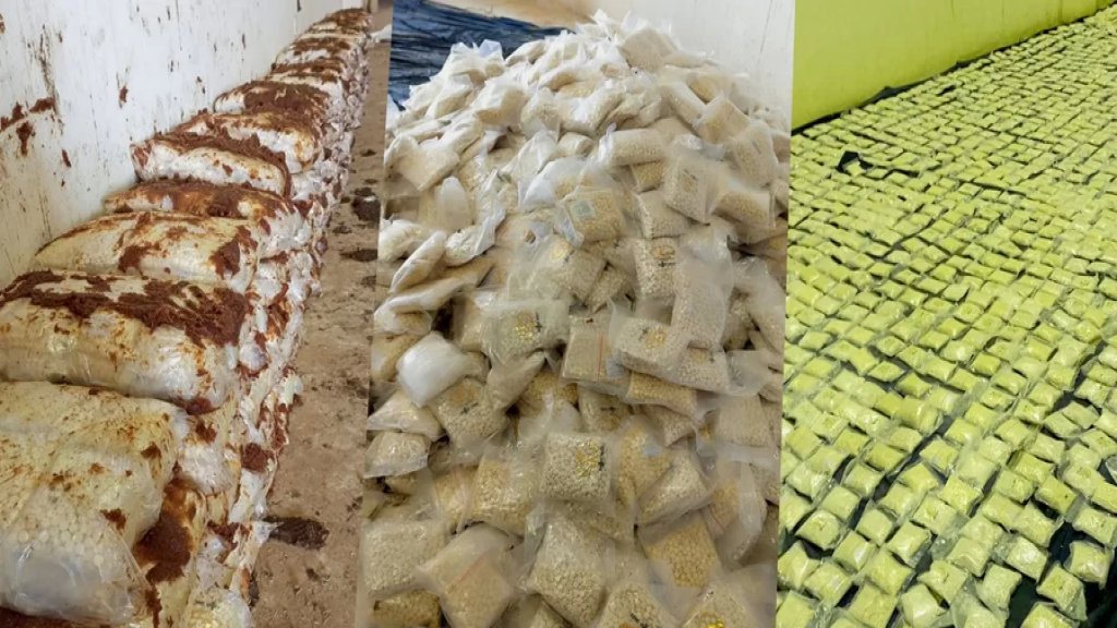 الأردن يحبط أضخم عملية تهريب مخدرات إلى أراضيه.. قادمة من العراق وكانت مُخبأة في التمر! 