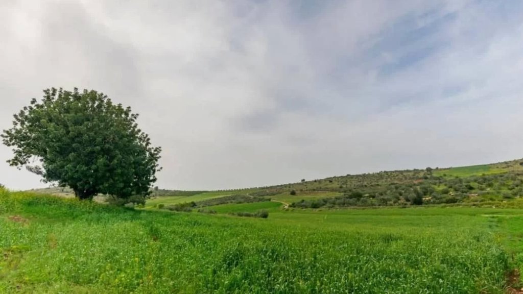 خبراء ناسا: السنوات التسع الأخيرة كانت الأكثر دفئا خلال 140 عامًا