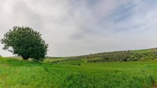 خبراء ناسا: السنوات التسع الأخيرة كانت الأكثر دفئا خلال 140 عامًا