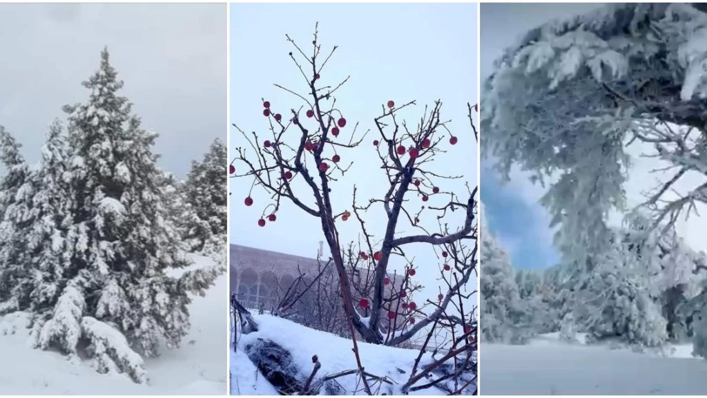 "فرح" تشتد مجددًا غدًا: سيول جارفة ورياح عاتية وثلوج تلامس الـ800 متر!