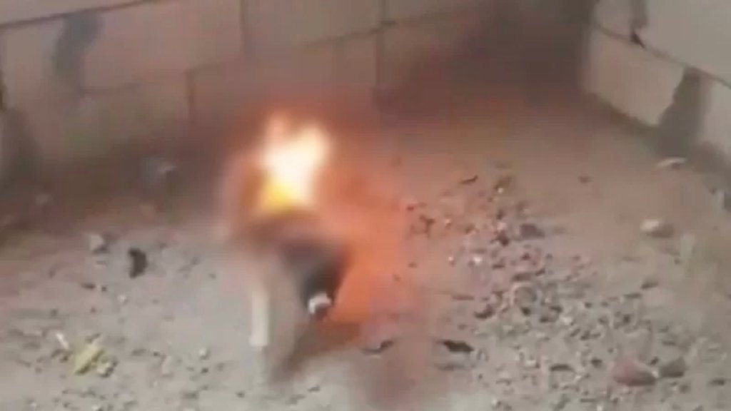 متابعة لـ "جريمة" إحراق "جرو" من قبل أحد الشبان: حصلت في بلدة الجوبانية وليس الرام.. وتسطير مذكرة جلب بحق الفاعل!