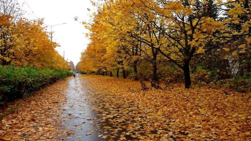 يستعد الشتاء لتوجيه أولى ضرباته للصيف وبشكل قوي!