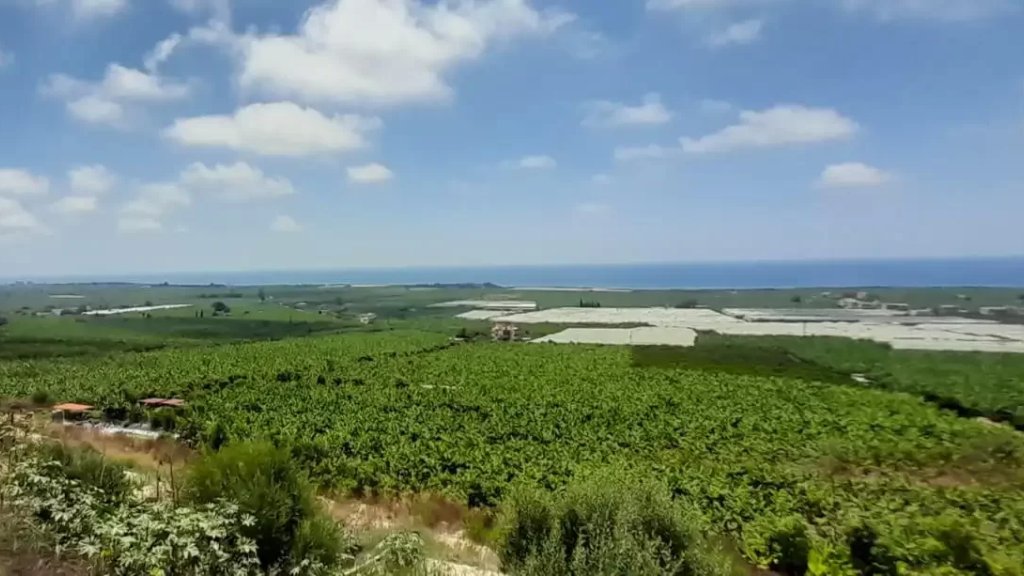 سوري يقتل زوجته في سهل بوداي بعد ضربها ورمي صخرة على رأسها! 