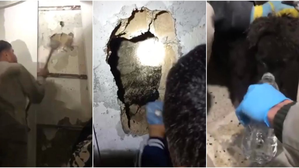بعد جهود إستمرت لساعات: إنقاذ جرو عالق بين حائطين المسافة الفاصلة بينهما ضيقة جداً من قبل جمعية الرسالة للاسعاف الصحي في بلدة شقرا 