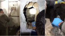 بعد جهود إستمرت لساعات: إنقاذ جرو عالق بين حائطين المسافة الفاصلة بينهما ضيقة جداً من قبل جمعية الرسالة للاسعاف الصحي في بلدة شقرا 