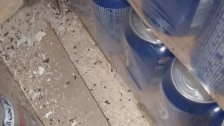 العثور على "بعر" فئران داخل أحد المستودعات.. مراقبو مصلحة الاقتصاد يجولون على المطاعم الكبيرة في صيدا وصور التي تحضر الإفطارات في شهر رمضان!