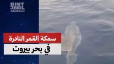 سمكة القمر النادرة تظهر قبالة بيروت&hellip; والكابتن عمر مرشو يوثّق اللحظة ويشارك التفاصيل مع موقع بنت جبيل