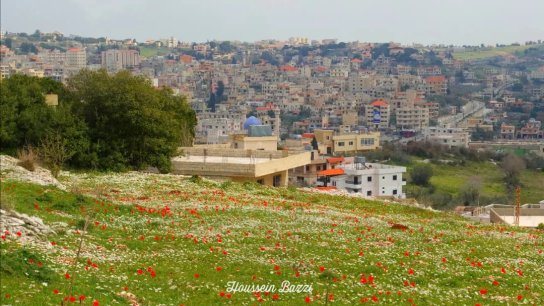 مغتربو بنت جبيل يتحدون الظروف ويبدؤون تسجيل حضورهم قادمين من ميشيغن 