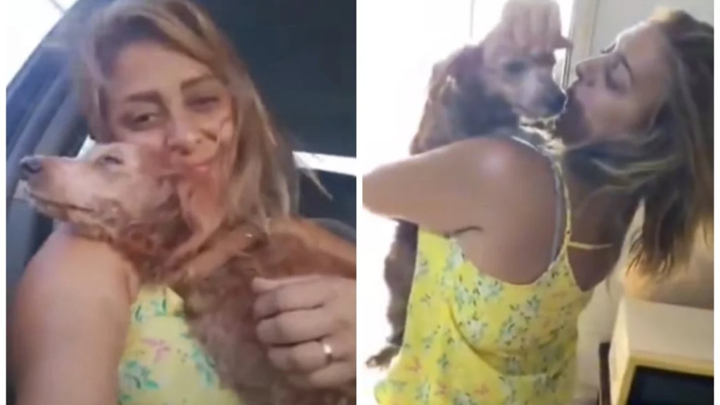 بالفيديو/ إنقاذ كلب الميناء من الوحش البشري الذي ضربه وعذبه.. "لينو" بات الآن بين أيادٍ أمينة ورؤوفة!