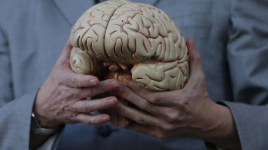 دراسة جديدة: أدمغة الرجال تتقلص أسرع من النساء