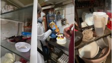 "كيك بالحشرات".. بلدية حارة حريك تقفل باتيسري في منطقة بعجور لانعدام  النظافة!
