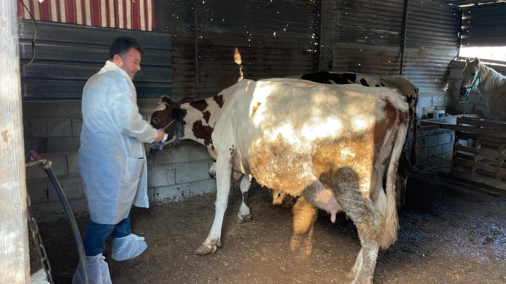 بالصور/ انطلاق حملة التلقيح ضد الحمى القلاعية في قضاء بنت جبيل بزخم متصاعد في الأيام المقبلة