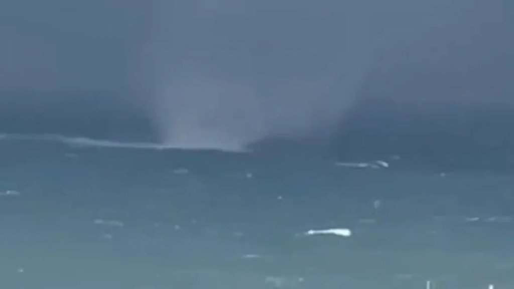 بالفيديو/ ظهور شاروق بحري قبالة شاطىء صيدا وتوقف حركتي الملاحة والصيد البحري في ميناء المدينة