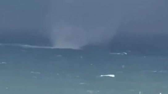 بالفيديو/ ظهور شاروق بحري قبالة شاطىء صيدا وتوقف حركتي الملاحة والصيد البحري في ميناء المدينة