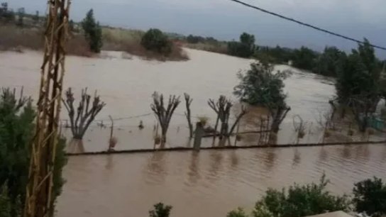 بالفيديو/ فيضان النهر الكبير والمياه غمرت بلدات سهل عكّار