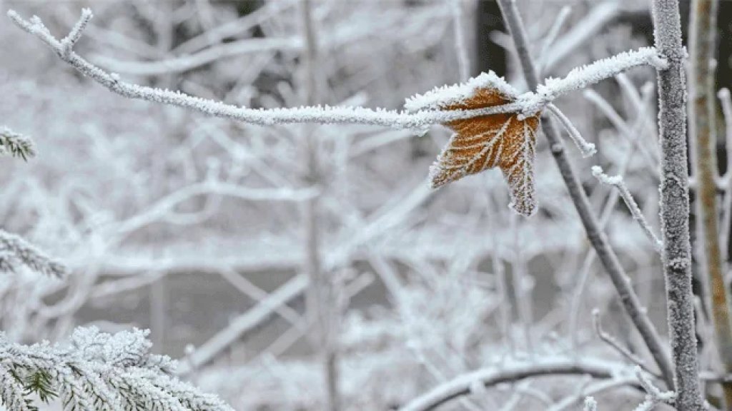 منخفض جوي متوسط الفاعلية يصل الخميس وتحذير من تشكل الجليد !