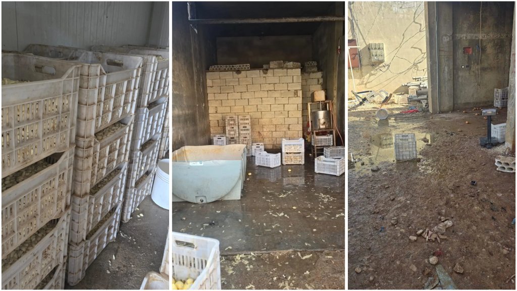 فضيحة غذائية جديدة..  ضبط أكثر من 20 طناً من الثوم الفاسد وغير الصالح للاستهلاك البشري في مستودع لا يستوفي أدنى معايير السلامة الغذائية!