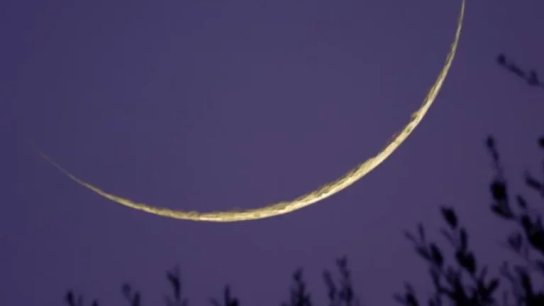 مكتب المرجع الراحل السيد محمد حسين فضل الله: يوم الجمعة 20 آذار هو أول أيام عيد الفطر